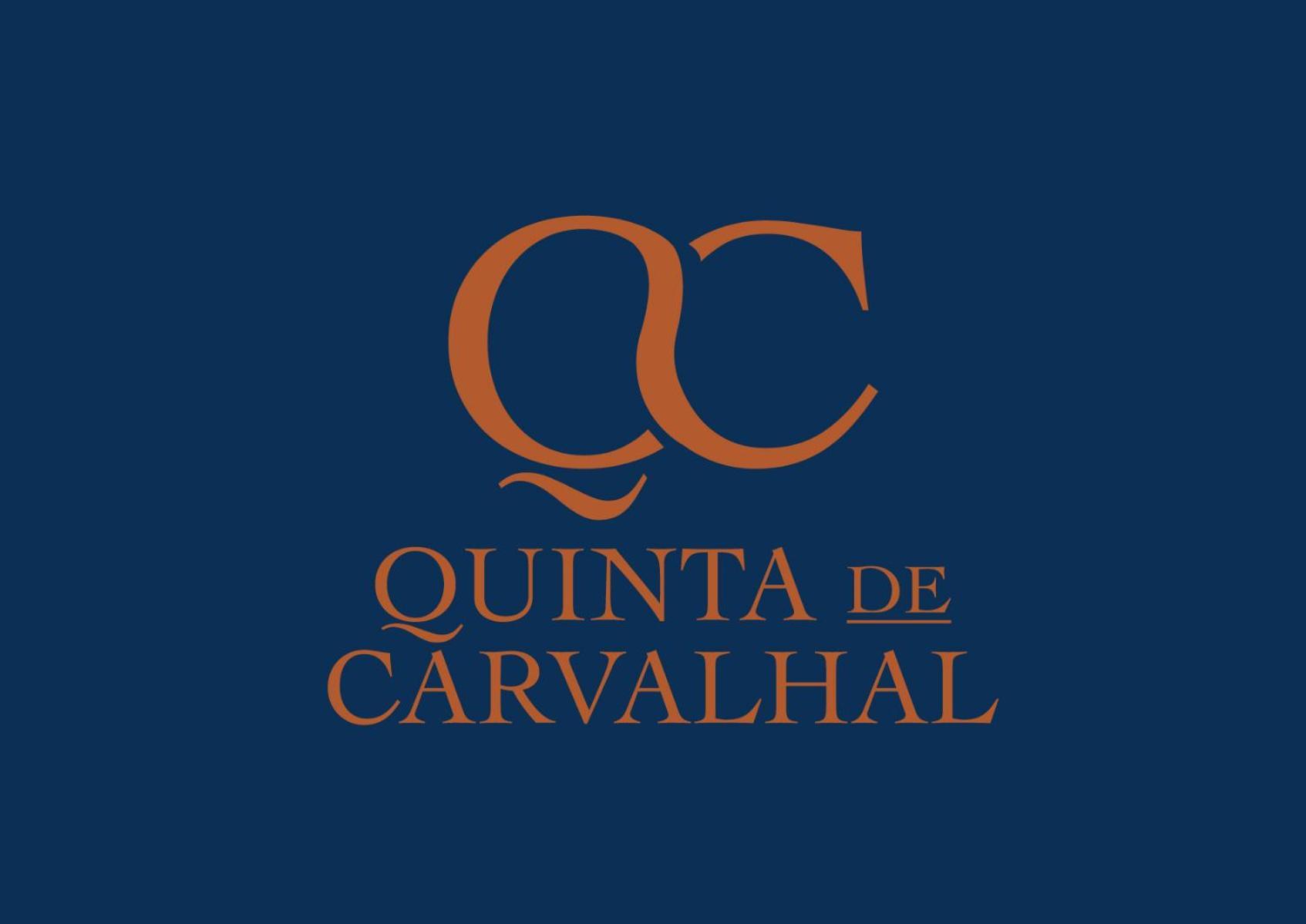 Quinta De Carvalhal - Casa Da Vinha Villa Guimarães Екстериор снимка