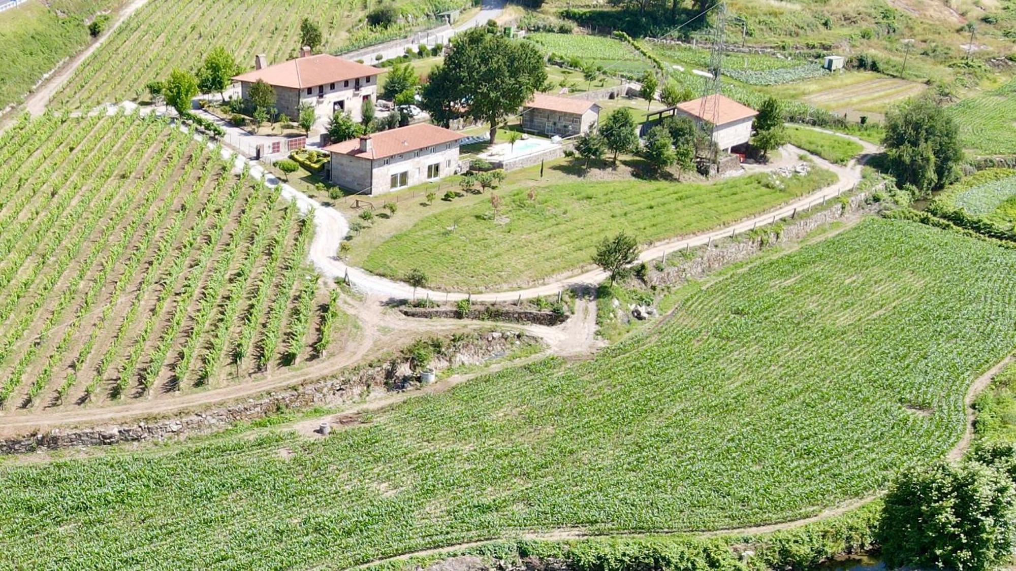 Quinta De Carvalhal - Casa Da Vinha Villa Guimarães Екстериор снимка
